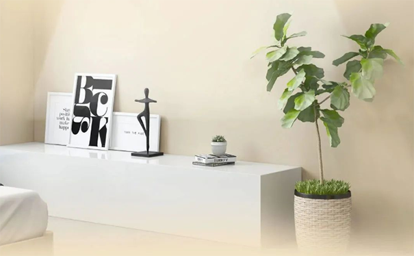 墻面臟污、發(fā)霉、不整潔怎么辦？