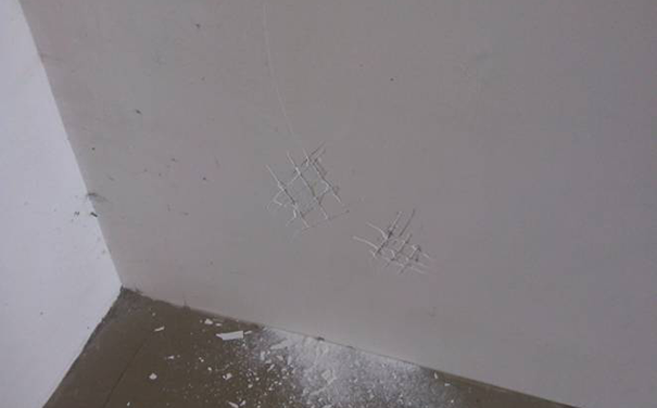 外墻膩?zhàn)幽苡迷趦?nèi)墻嗎?