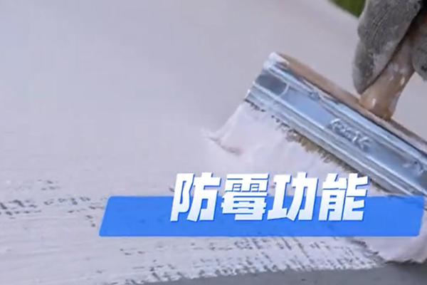 無機(jī)防霉涂料是什么意思?